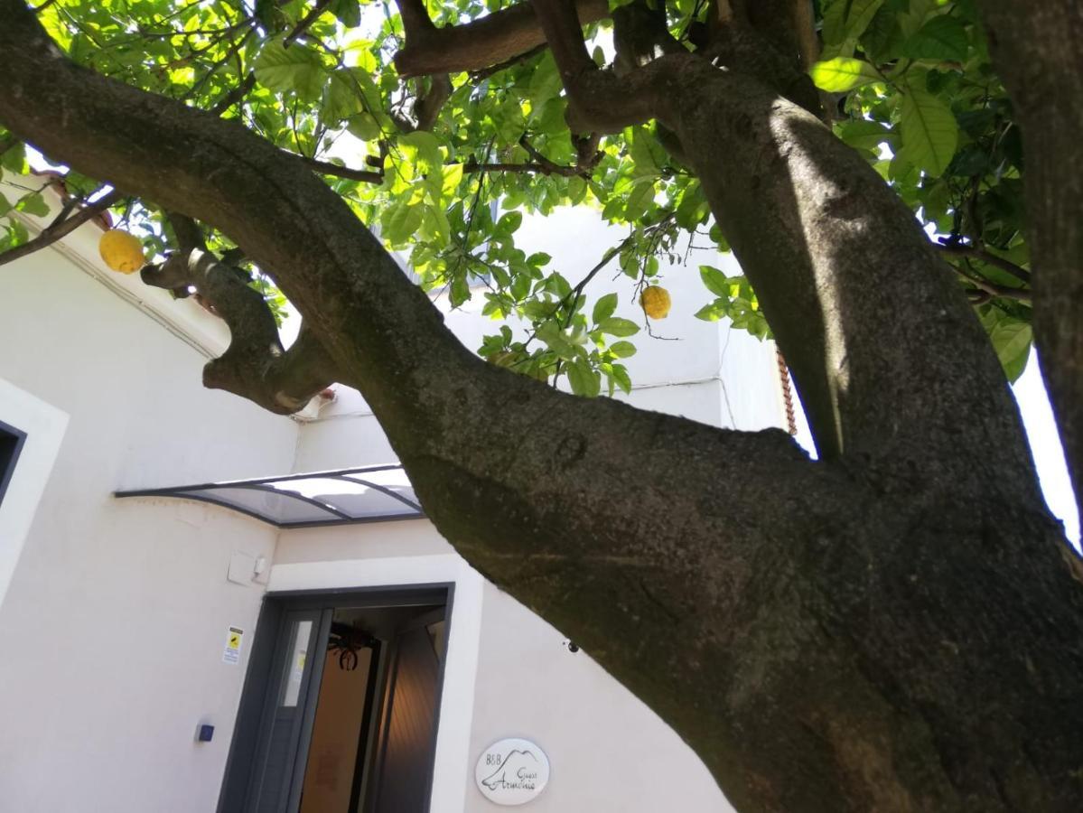 B&B Guest Armonie Torre del Greco Kültér fotó